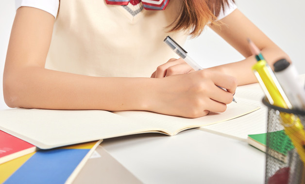 2026年10月党总支书记个人述职报告