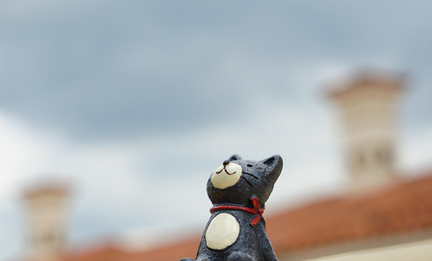 2026年暑假大学生三下乡社会实践报告