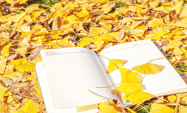 大学生党课学习思想报告：党的纲领和最低纲领