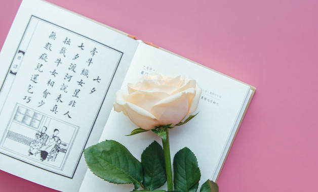 2026高级经济师工作总结报告