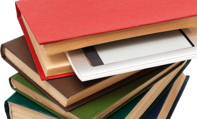 2026年技术人员述职报告