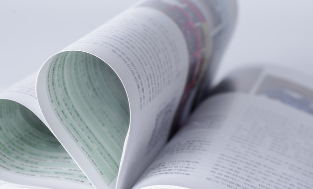 企业自查自检报告