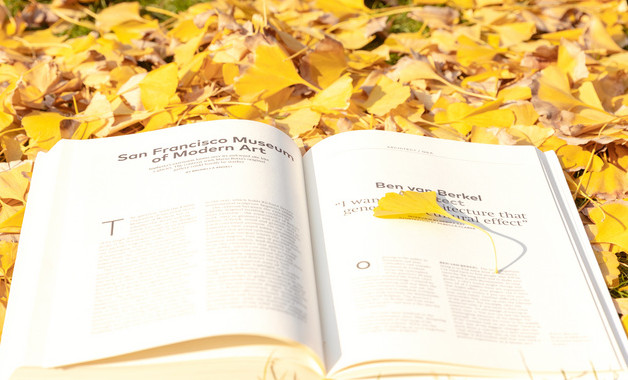采购管理述职报告