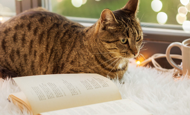 大学生入党第二季度思想报告