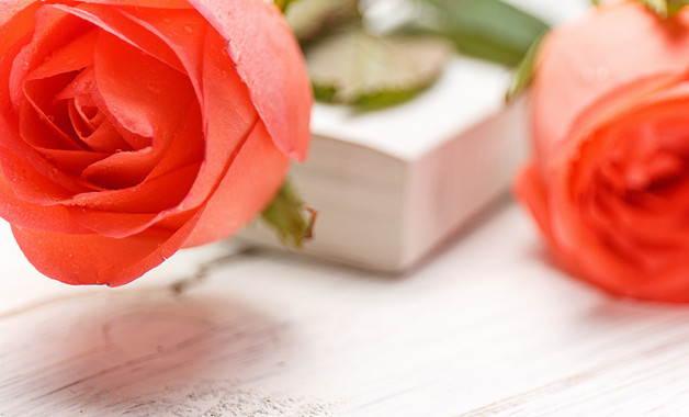 紫云英种植情况自查报告