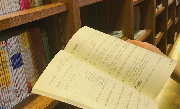 副支书述职报告