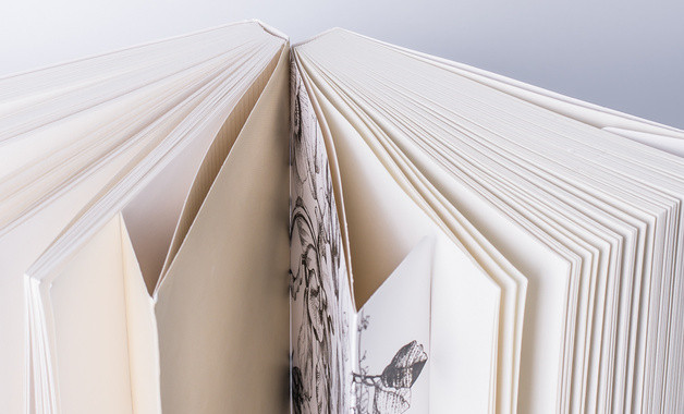 民盟服务农村改革和新农村建设的调研报告