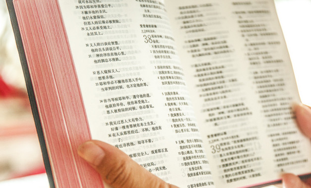 小学生的研究报告