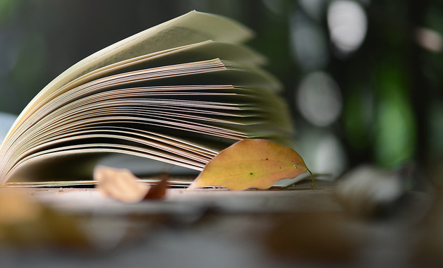 茶叶公司职员的辞职报告