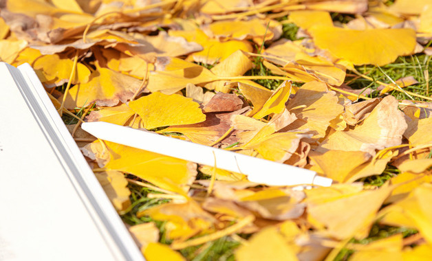 家庭经济调查报告