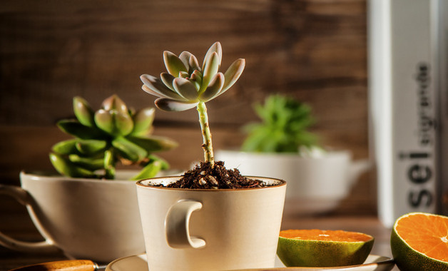 探究管理会计报告体系的论文