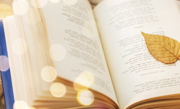 推荐市场调查报告集锦