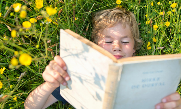 家庭用电研究报告