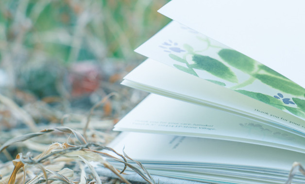 2026年律师协会述职报告