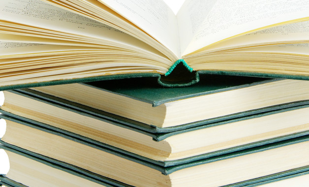 学校办学章程执行情况自查报告