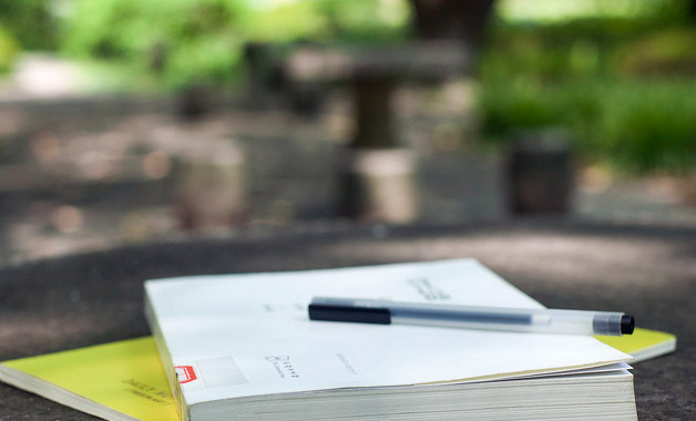 小学生饮食研究报告