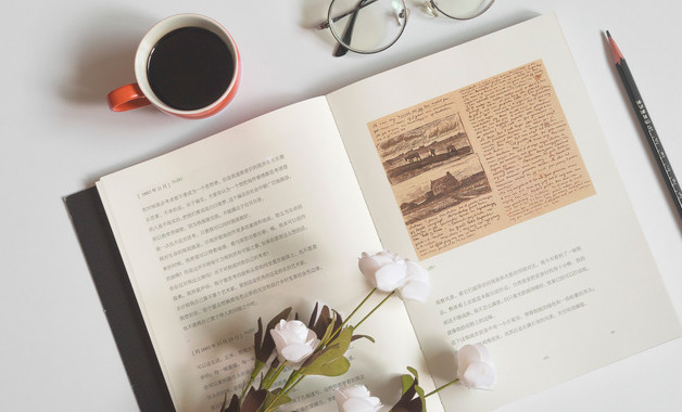 消费者调查报告